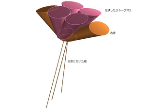 前回の リトープスの植え替えをして気付いたこと をturbocadを用いて説明します 卯年男のナウな徒然日誌